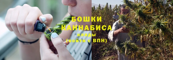 мескалин Бородино